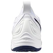 Chaussures d'intérieur pour homme Mizuno  Wave MOMENTUM 3 White/Bellwether Blue