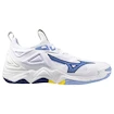 Chaussures d'intérieur pour homme Mizuno  Wave MOMENTUM 3 White/Bellwether Blue