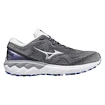 Chaussures de running pour femme Mizuno  Wave Skyrise Wave Skyrise 2 / Blackened Pearl / Silver / Antarctica  UK 7,5