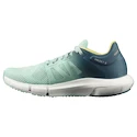 Chaussures de running pour femme Salomon Predict 2 Icy Morn