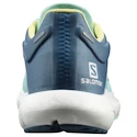 Chaussures de running pour femme Salomon Predict 2 Icy Morn