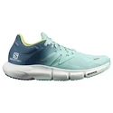 Chaussures de running pour femme Salomon Predict 2 Icy Morn