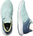 Chaussures de running pour femme Salomon Predict Predict 2 Icy Morn