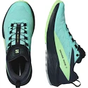 Chaussures de running pour femme Salomon Sense Ride 5 Gtx Blue Radiance / Green Ash / India Ink