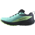 Chaussures de running pour femme Salomon Sense Ride 5 Gtx Blue Radiance / Green Ash / India Ink