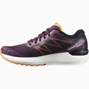 Chaussures de running pour femme Salomon  Sonic 5 Balance Grape Wine/Black