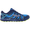 Chaussures de running pour homme Inov-8 Trailfly 250 (s)   UK 10