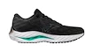 Chaussures de running pour homme Mizuno  Wave Inspire 19 2E Black/Metallic Gray/Biscay Green