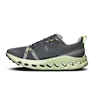 Chaussures de running pour homme On Cloudsurfer Trail Iron/Lima