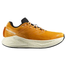 Chaussures de running pour homme Salomon Aero Glide 3 Turmeric/White/Black