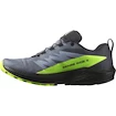 Chaussures de running pour homme Salomon  GTX Flint/Black/Grgeck