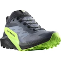 Chaussures de running pour homme Salomon  GTX Flint/Black/Grgeck