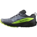 Chaussures de running pour homme Salomon  GTX Flint/Black/Grgeck