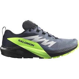 Chaussures de running pour homme Salomon GTX Flint/Black/Grgeck