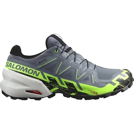 Chaussures de running pour homme Salomon GTX Flint/Grgeck/Black