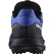 Chaussures de running pour homme Salomon Pulsar Trail GTX Dazzling Blue