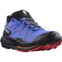 Chaussures de running pour homme Salomon Pulsar Trail GTX Dazzling Blue