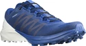 Chaussures de running pour homme Salomon Sense 4 PRO