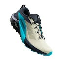 Chaussures de running pour homme Salomon Sense Ride 5 Alfalfa / Carbon / Peacock Blue