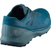 Chaussures de running pour homme Salomon Sense Ride