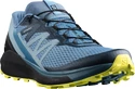 Chaussures de running pour homme Salomon Sense Ride Copen Blue