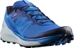 Chaussures de running pour homme Salomon Sense Ride Turkish Sea