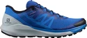 Chaussures de running pour homme Salomon Sense Ride Turkish Sea