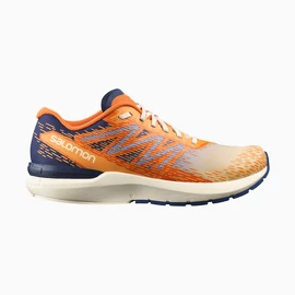 Chaussures de running pour homme Salomon Sonic Sense 5