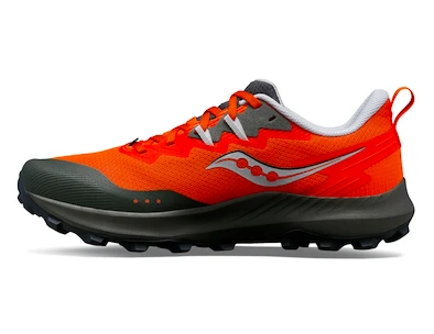 Chaussures de running pour homme Saucony  Peregrine 14 Pepper/Bough