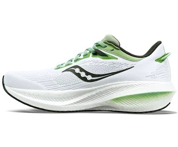 Chaussures de running pour homme Saucony  Triumph 21 White/Umbra