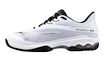 Chaussures de tennis pour homme Mizuno Wave Exceed LIGHT 2 CC White/Metallic Gray/Black  EUR 44,5