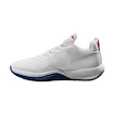 Chaussures de tennis pour homme Wilson Rush Pro LITE White/Blue