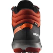 Chaussures pour homme Salomon Predict Predict Hike Mid GTX Black