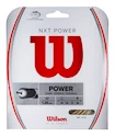 Cordage de tennis Wilson  NXT Power  1,26 mm