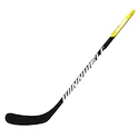 Crosse de hockey en matière composite WinnWell  300 Youth