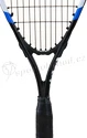 Ensemble de Crossminton Victor  VicFun VF 2000