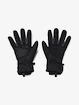 Gants pour homme Under Armour  Insulated Gloves-BLK