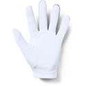 Gants pour homme Under Armour  Medal Golf Glove grey