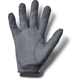 Gants pour homme Under Armour Storm Golf Gloves grey