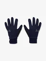 Gants pour homme Under Armour  Storm Liner-NVY