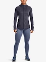 Leggings pour femme Under Armour  Meridian CW Legging-PPL