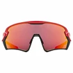 Lunettes de sport Uvex  Sportstyle 231 Red