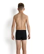 Maillot de bain pour garçons Speedo  Logo Panel Aquashort