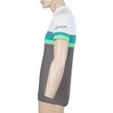 Maillot de cyclisme pour homme Sensor  Cyklo Summer Stripe Grey/Green