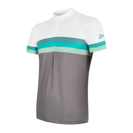 Maillot de cyclisme pour homme Sensor Cyklo Summer Stripe Grey/Green