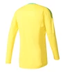 Maillot de gardien de but adidas  Revigo 17 GK