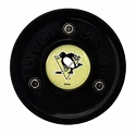 Palet d'entraînement Green Biscuit  Pittsburgh Penguins Black