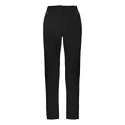 Pantalon pour femme Salewa  DOLOMIA W PNT