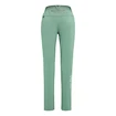 Pantalon pour femme Salewa  Pedroc 3 DST Feldspar green