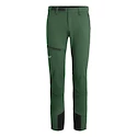 Pantalon pour homme Salewa  Agner Orval 2 DST Raw Green XL